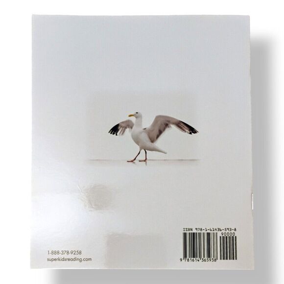 Meet the SuperKids Gulls Unit 13 Kindergarten Beginning Books Library - Picture 2 of 3